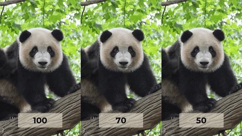 3 images of a panda